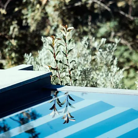 Dom wakacyjny Casa Da Merelhe *