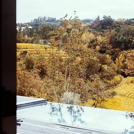 Casa Da Merelhe * Marco de Canavezes