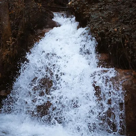 Casa Da Merelhe Hébergement de vacances