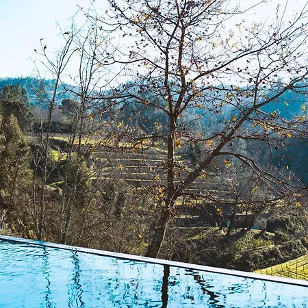 Casa Da Merelhe * Marco de Canavezes