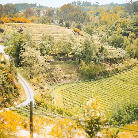 Hébergement de vacances Casa Da Merelhe *