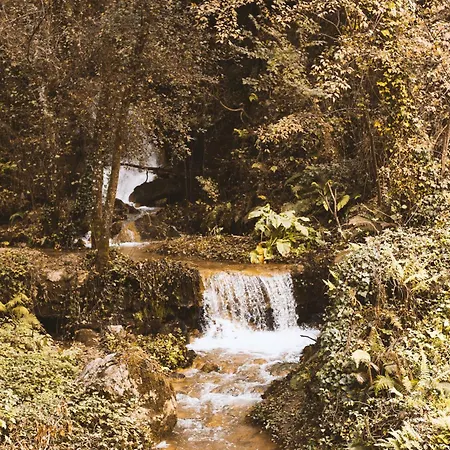 Hébergement de vacances Casa Da Merelhe *