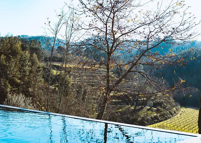 Casa Da Merelhe * Marco de Canavezes