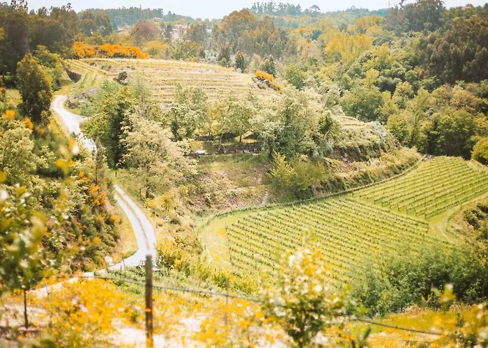 Prázdninový dům Casa Da Merelhe *