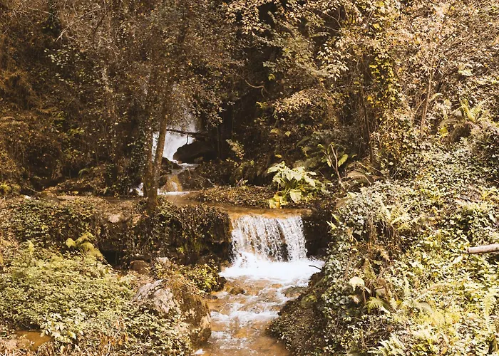 Prázdninový dům Casa Da Merelhe *